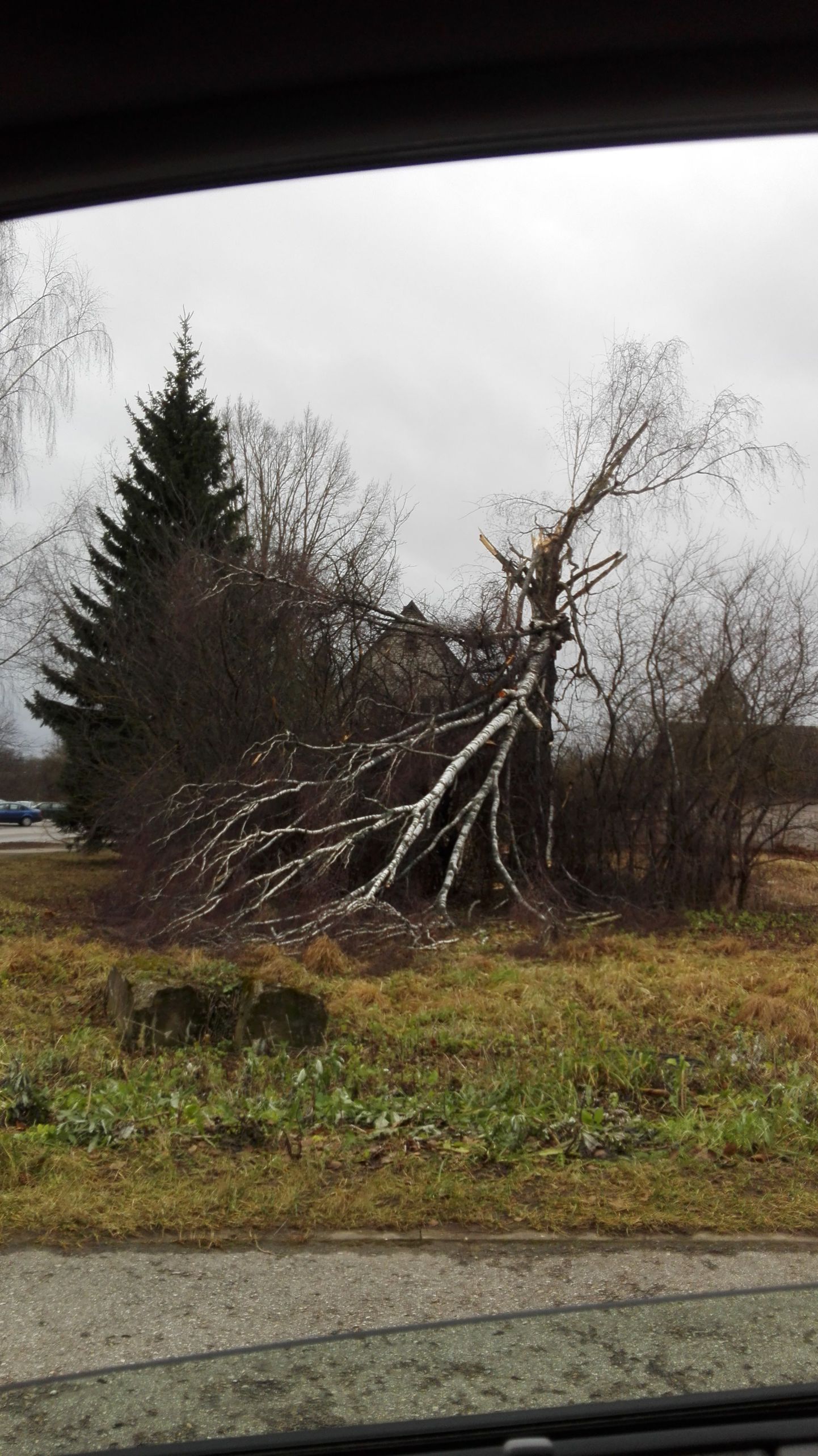 Valga maakond pääses tormist seekord ilma suuremate kahjudeta. Siiski tuli nii mõnelgi puul marule alla anda, nagu juhtus ka Valgas Priimetsa kooli juures.
