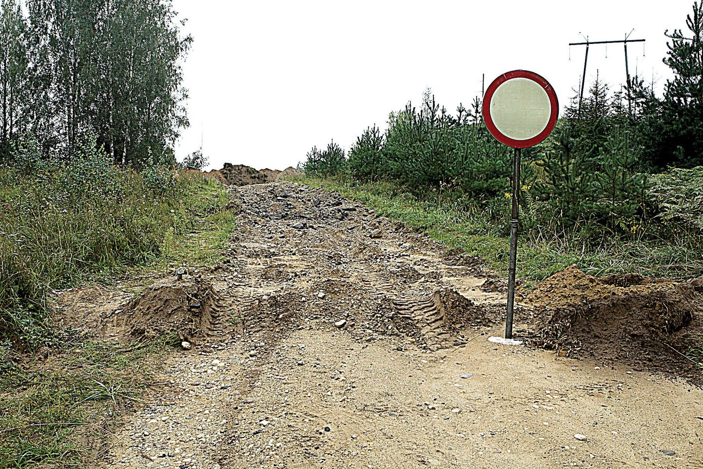 Elva külje all Valga maanteelt Kulbilohu krossirajani viival teel kaevas maaomanik üles 50–60 meetri pikkuse jupi.