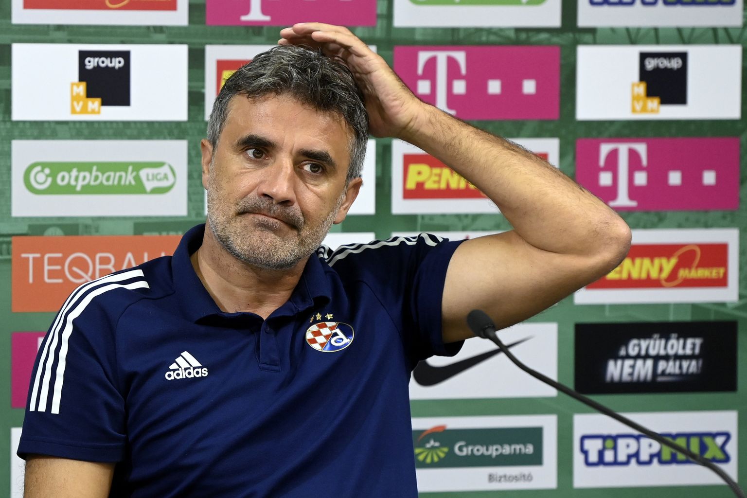 Зоран Мамич