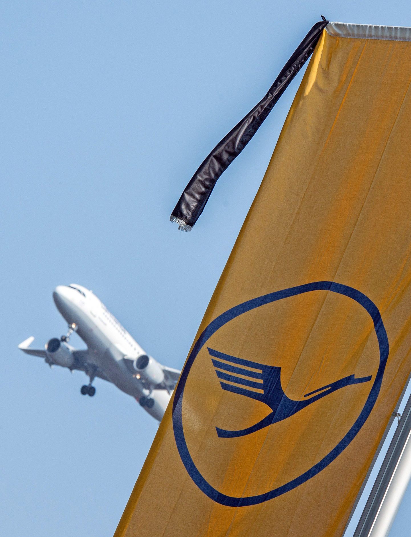 Lufthansa logoga leinalipp