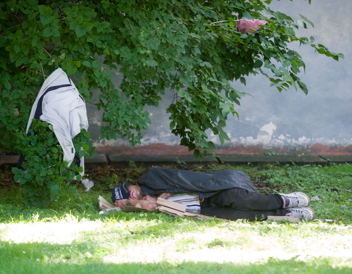 Tallinnas magavad kodutud ka kesklinna linnaosavalitsuse seina ääres.
