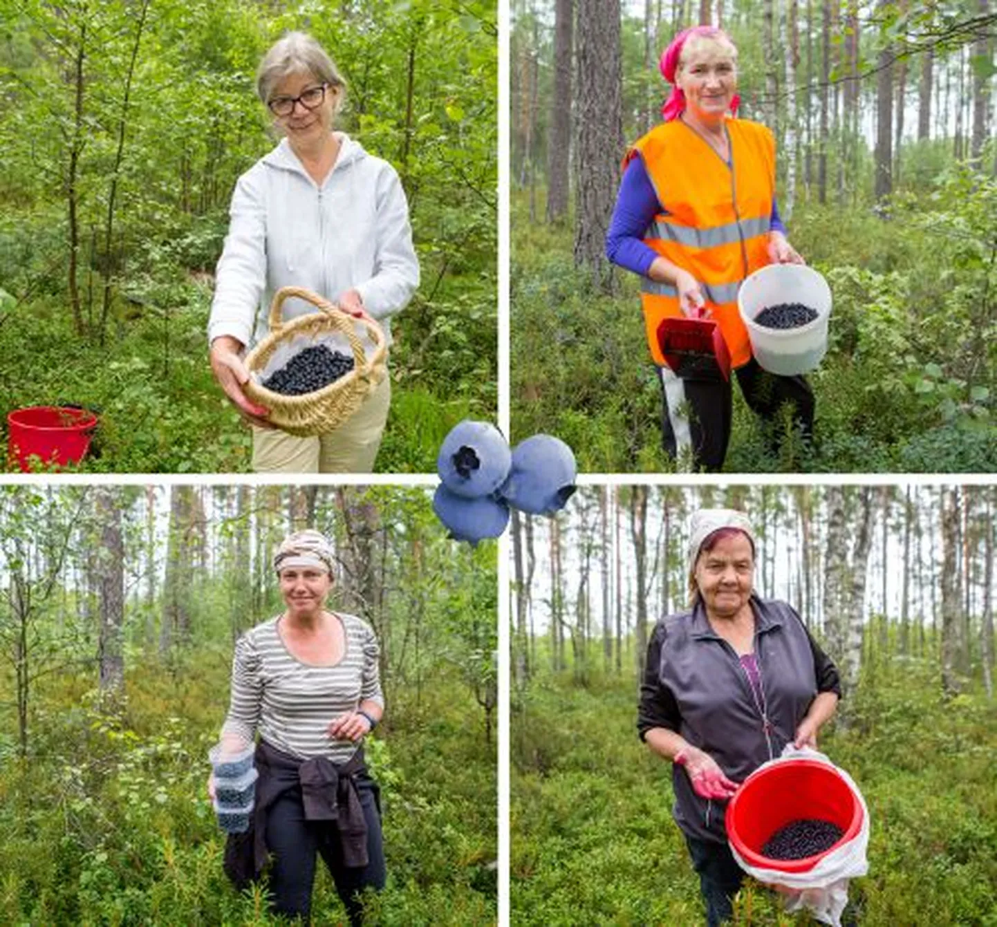 Metsas jäid pildile Maire Kasemaa, Pirgit Nuut, Maris Paomees ja Monika Heinmets.