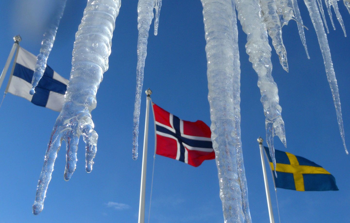 Vasakult: Soome, Norra ja Rootsi lipud