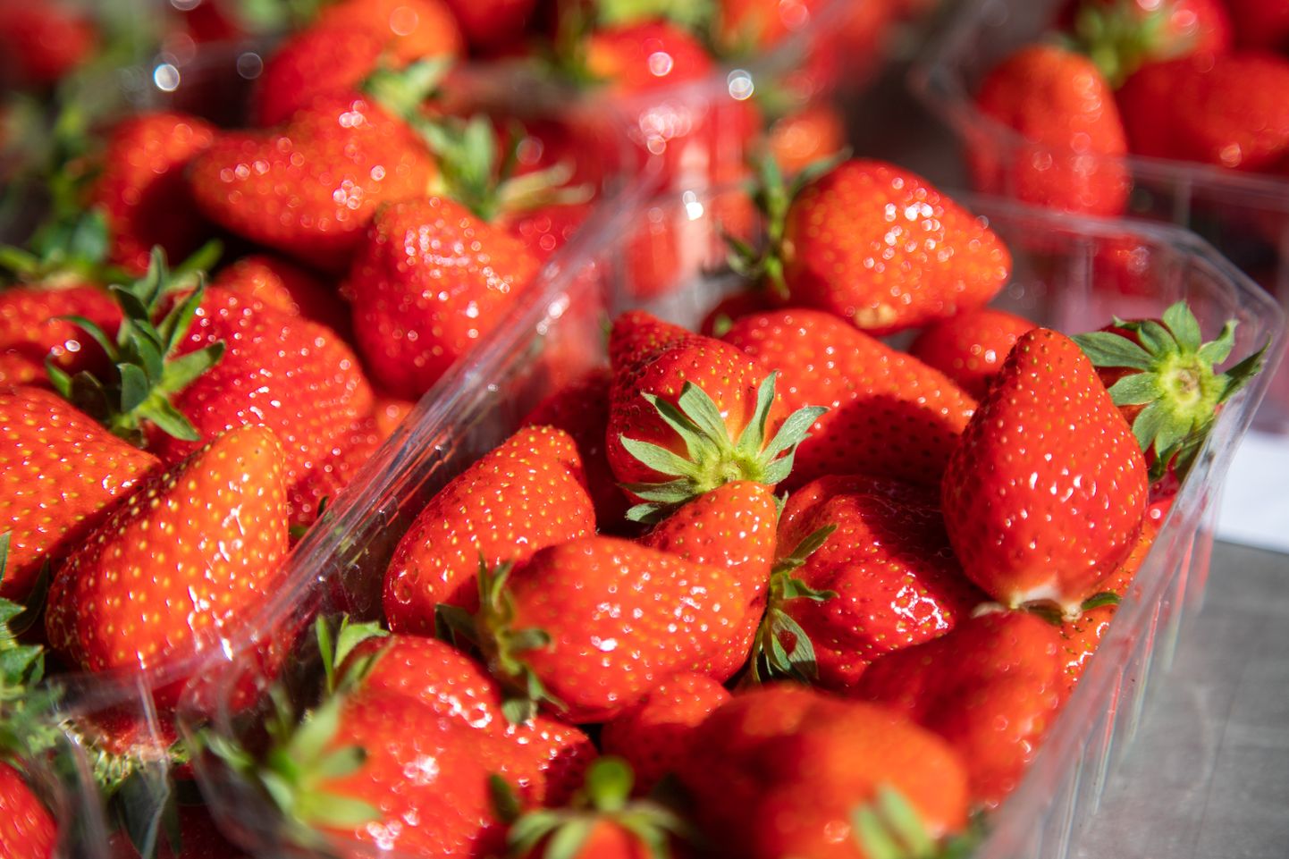 maasikad.