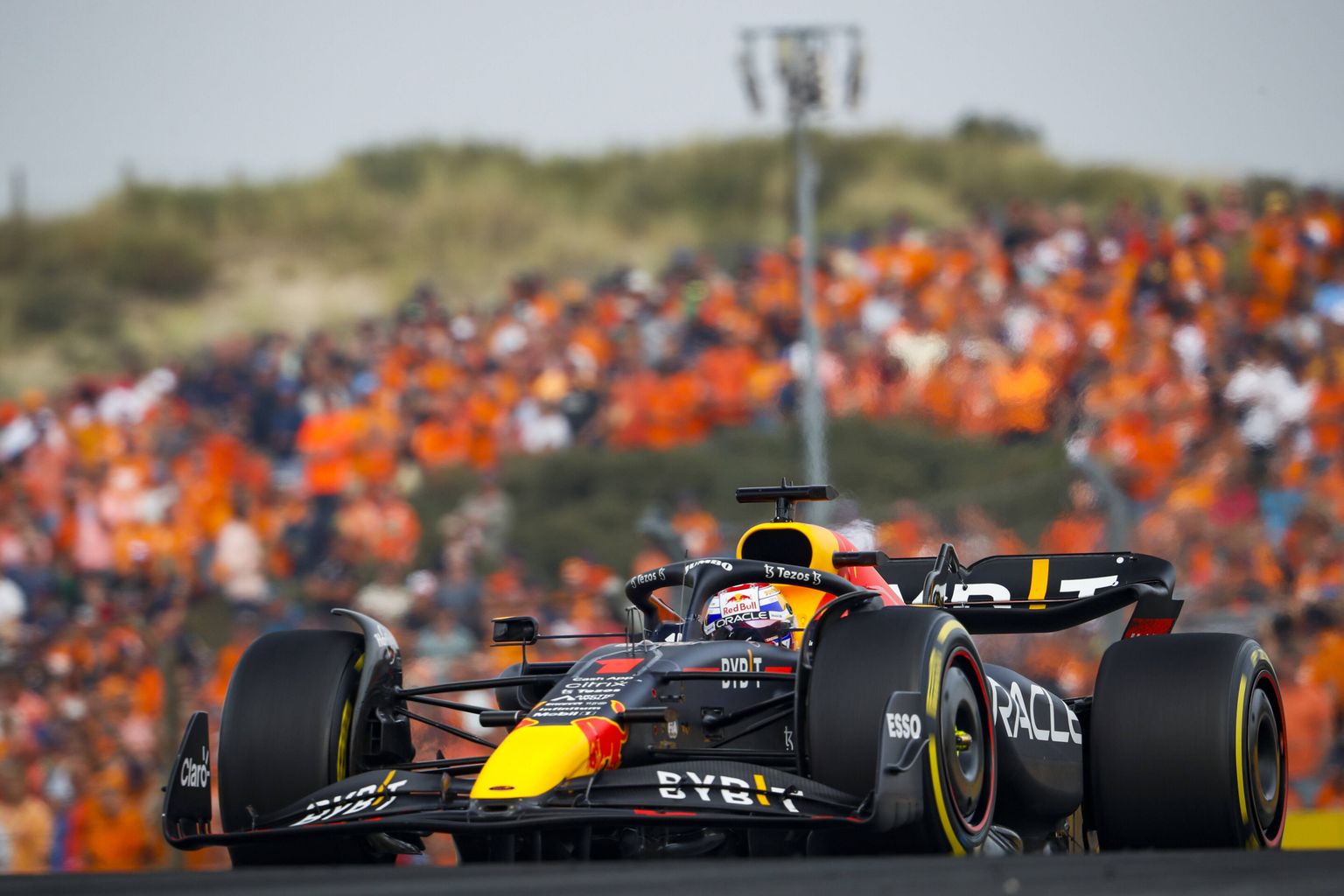 Max Verstappen.