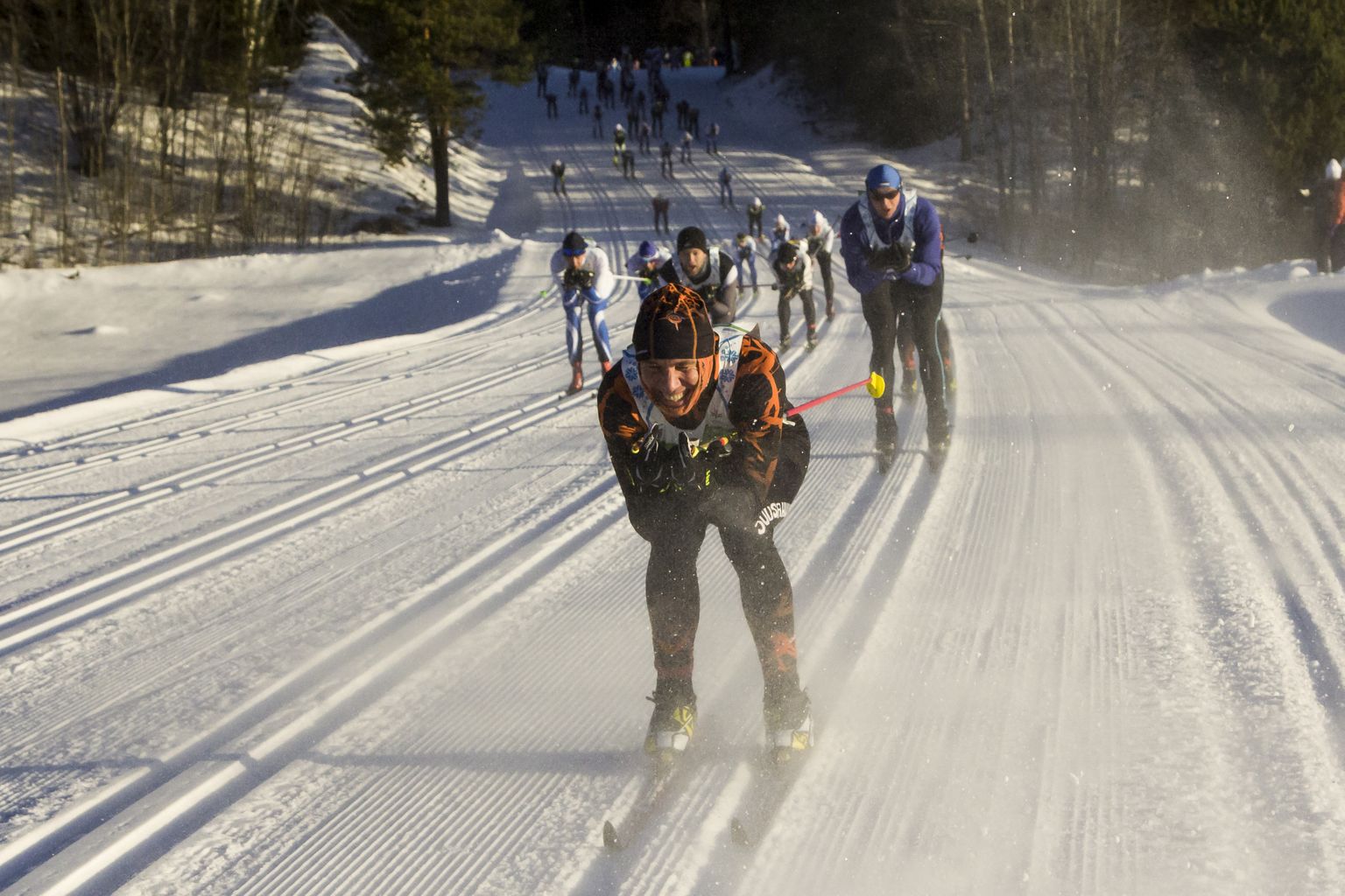 2015. aasta Tartu Maraton