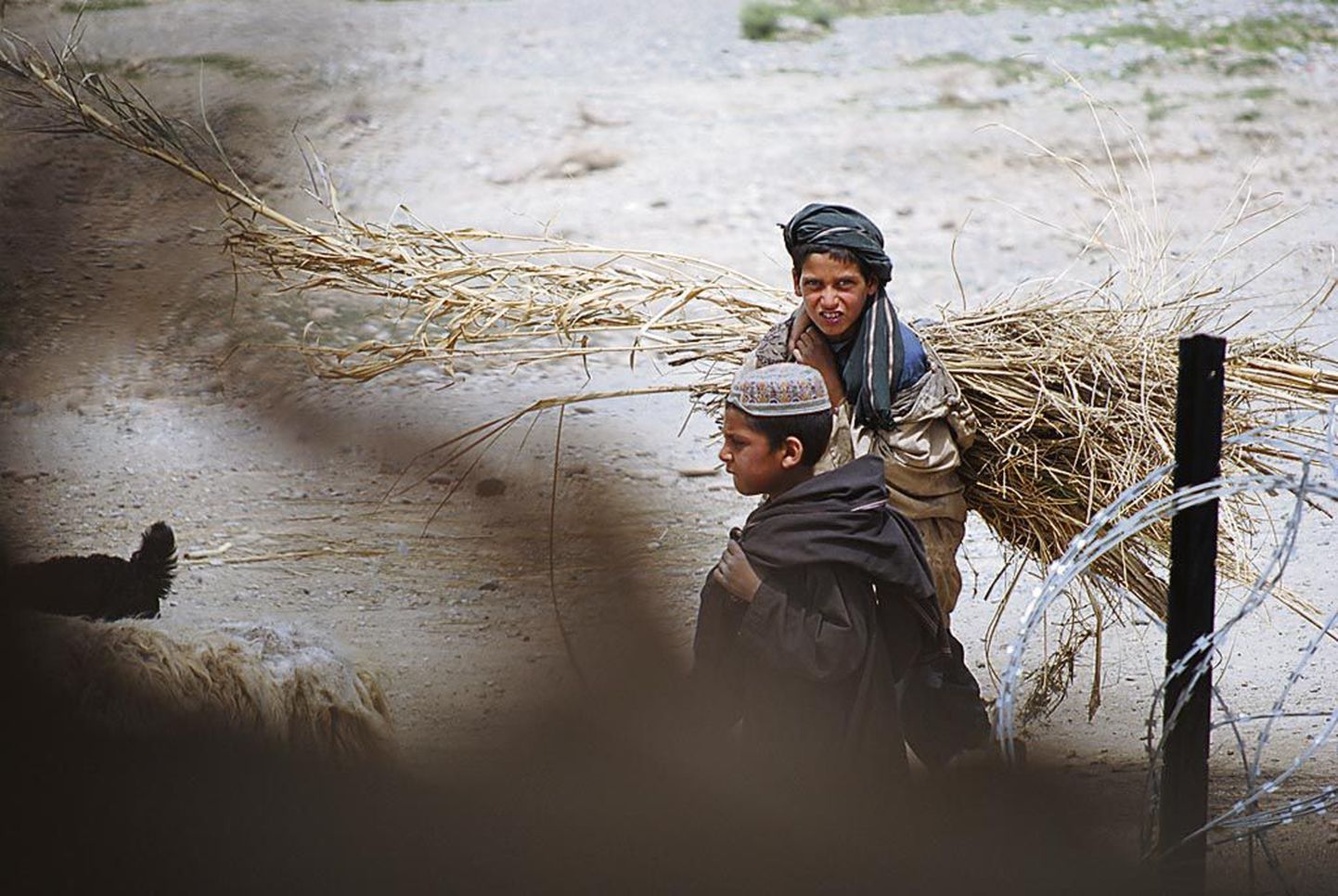 Sõda või mitte - Afganistani lapsed peavad juba maast madalast tööd tegema.
