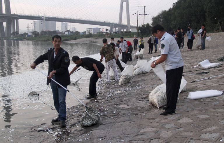 Kohalikud jõest surnud kalu korjamas. Foto: Reuters/Scanpix