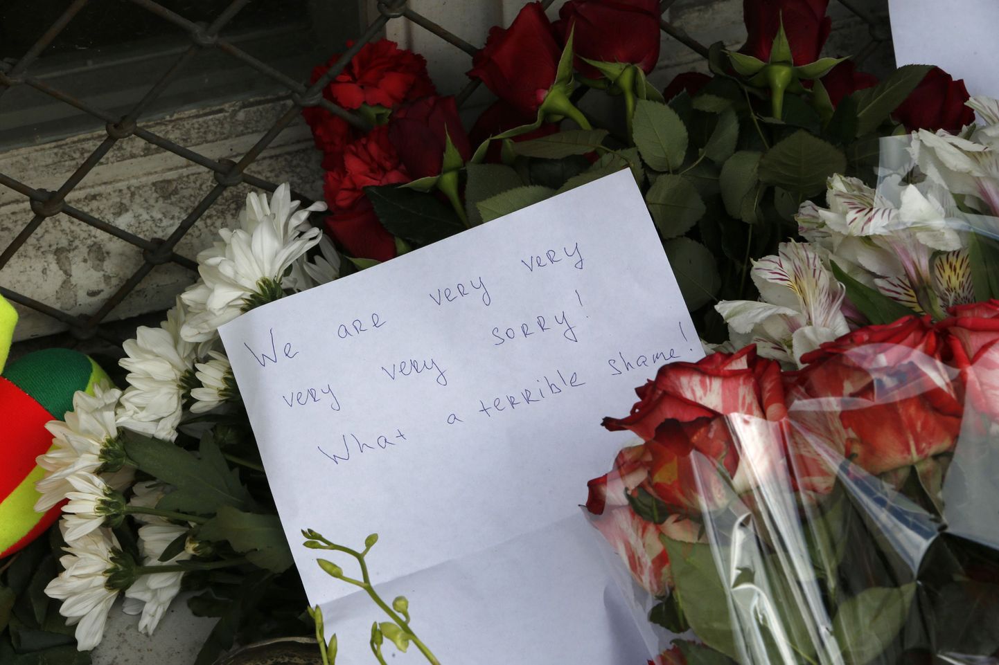 Lilled ja kiri Malaysia Airlines lennukiga juhtunud õnnetuses elu kaotanutele