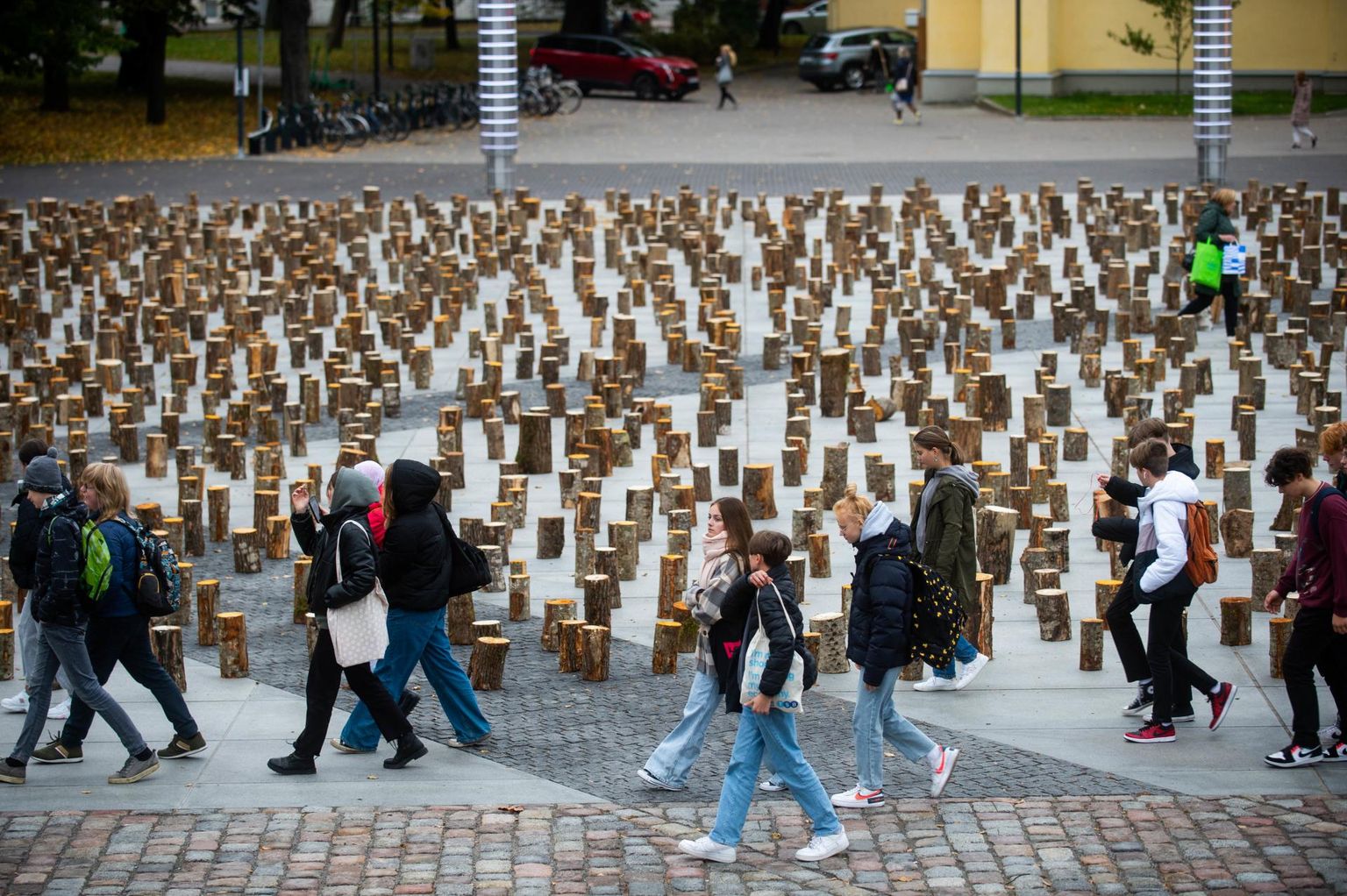2999 puupakust koosnev installatsioon Vabaduse väljakul.