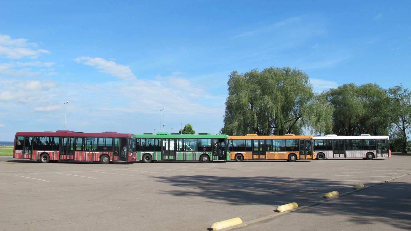 Tallinna rahvusmustris bussid.