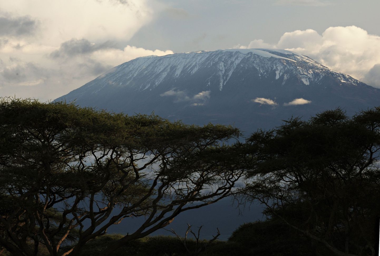 Aafrika kõige kõrgem mägi Kilimanjaro