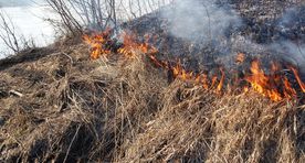 Järvamaal on nädalaga olnud mitu kulupõlengut