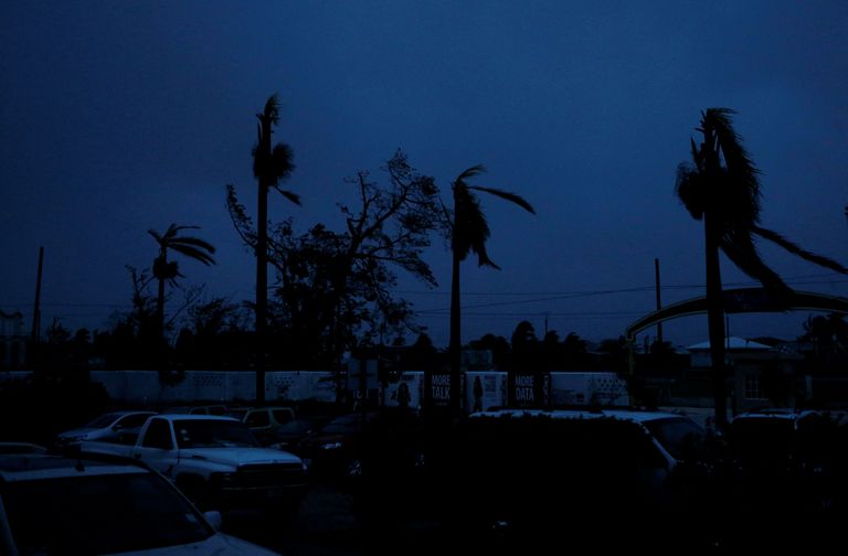 Belize. Orkaan Earl räsib palmipuid. 