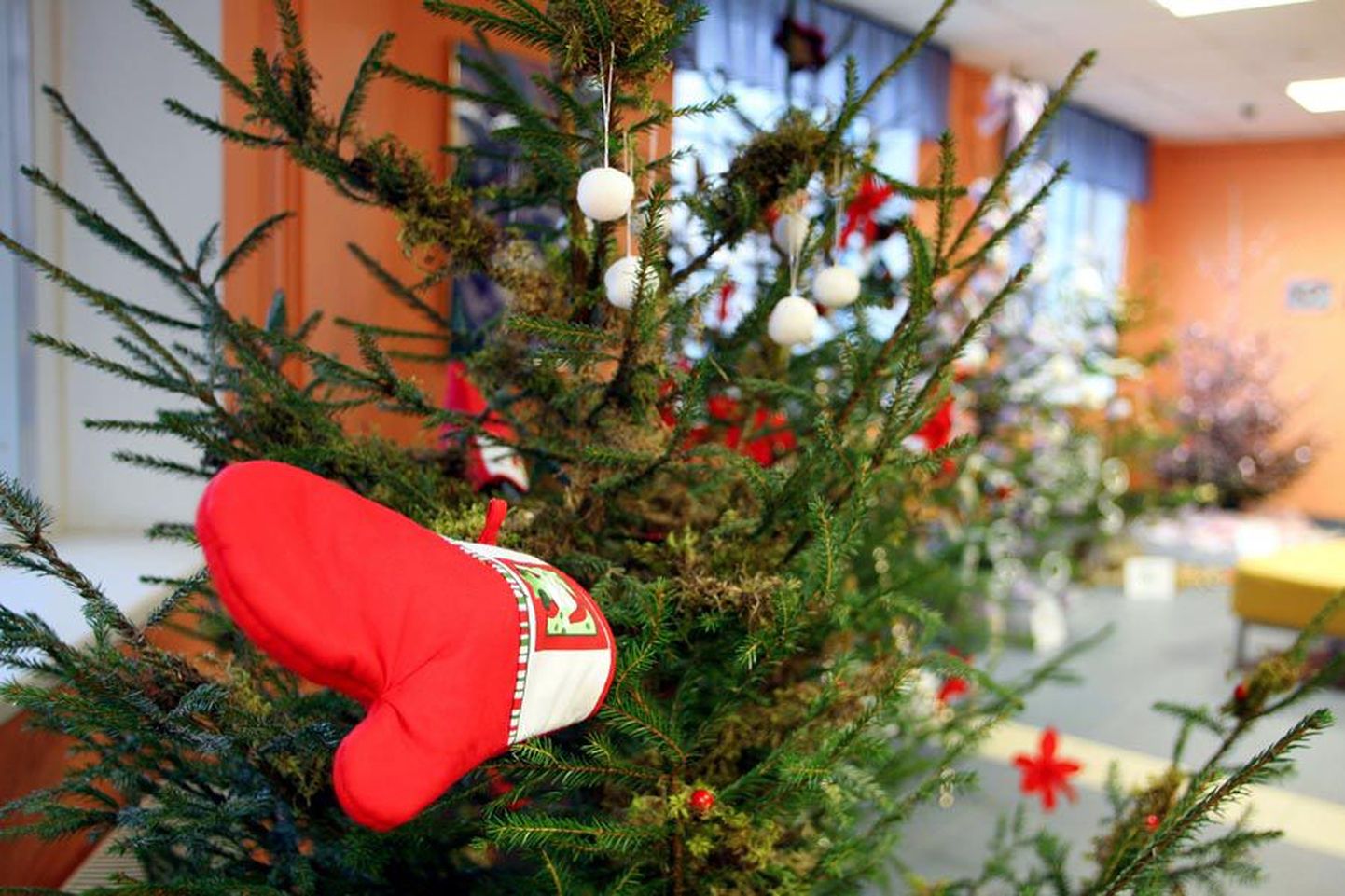 Võistlustules jõulupuud Karksi valla kultuurikeskuses