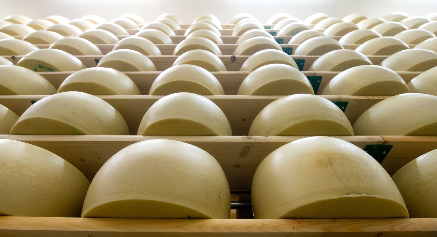 Сыр на складе выруского завода Valio.