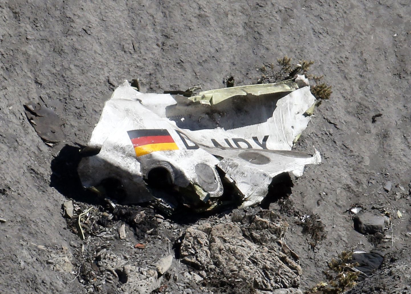 Родственники нескольких погибших в авиакатастрофе Germanwings над Альпами потребовали миллионных компенсаций морального ущерба.