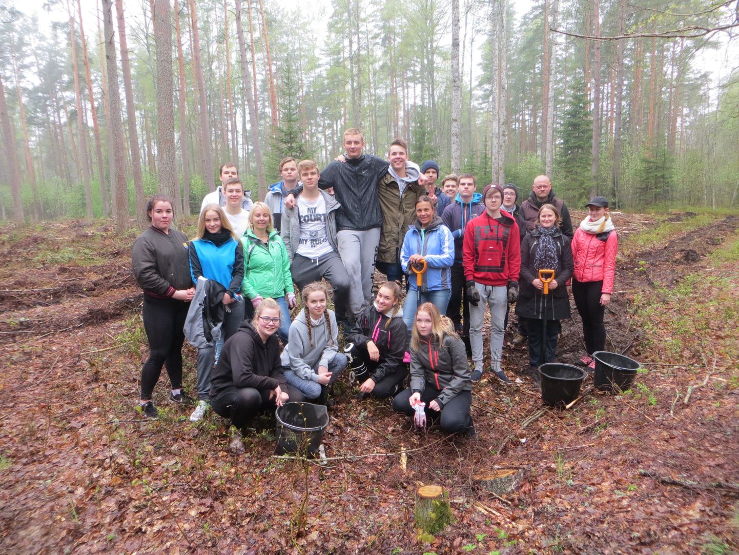 Uulu põhikooli 9. klassi õpilased istutasid kooli lähedale metsa 500 männitaime.