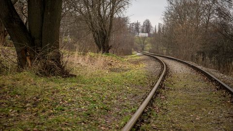  ������������ ���������� ���������� ��������������� ������� rail baltica 