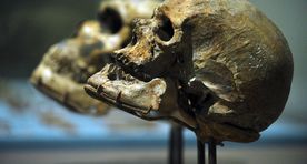Палеонтологи: первые люди появились на 100 тысяч лет раньше, чем считалось