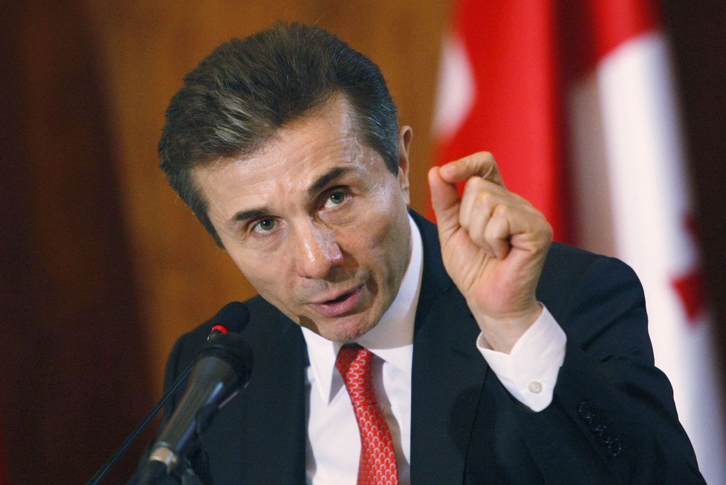 Gruusia peaminister Bidzina Ivanišvili