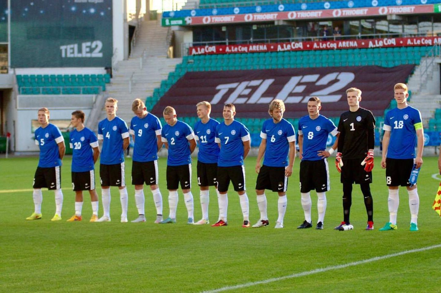 Сборная Эстонии по футболу перед матчем с Украиной.