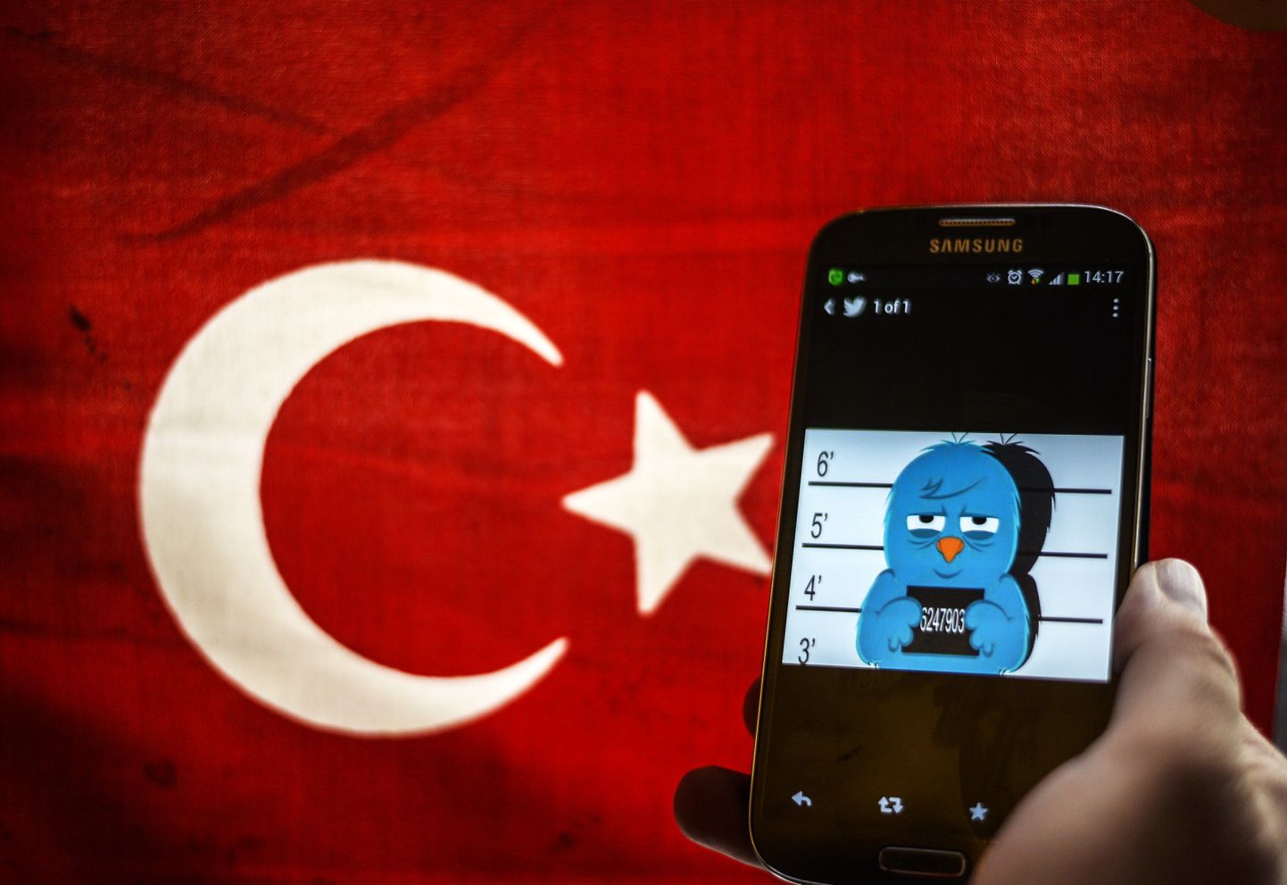 Türgi lipp koos Twitteri linnukesega.