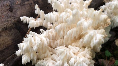 ����: rus.postimees.ee