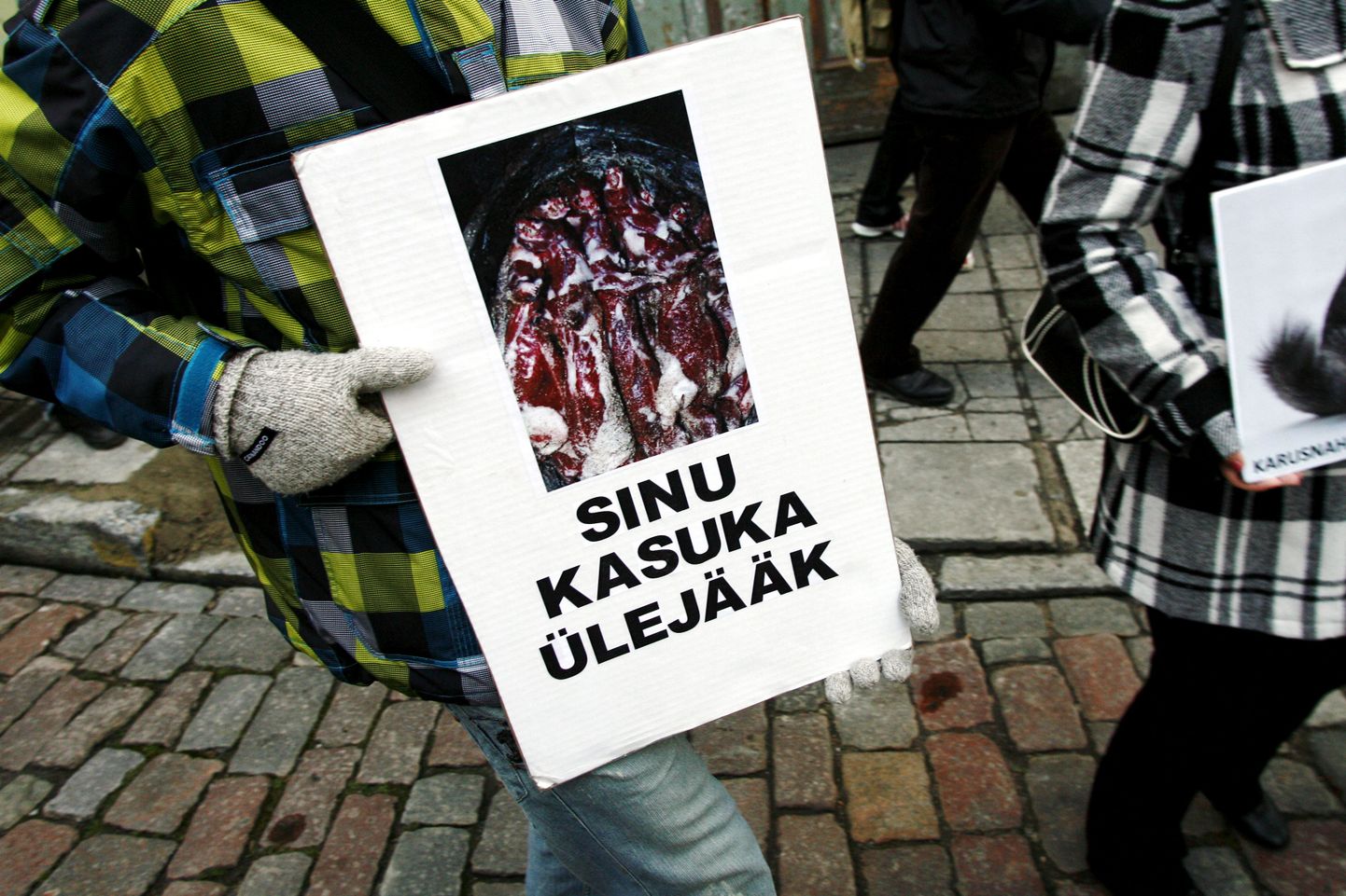 Loomakaitsjad korraldasid Tallinnas karusnahkade vastase meeleavalduse. Foto pärineb varasemalt samalaadselt ürituselt.