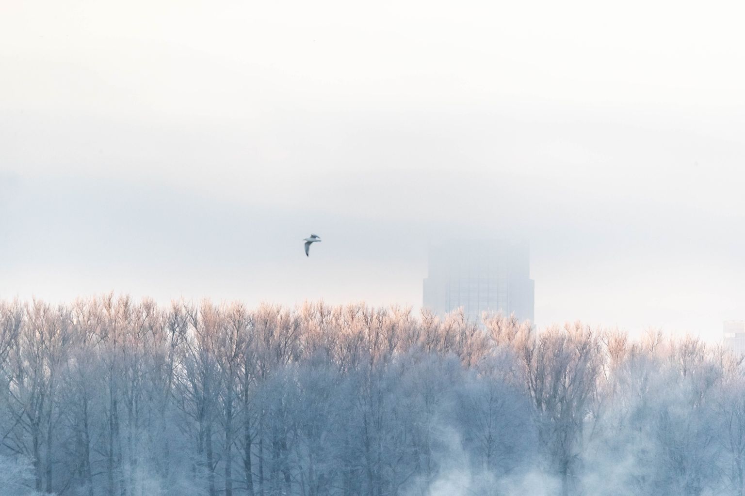 Зимний Таллинн.