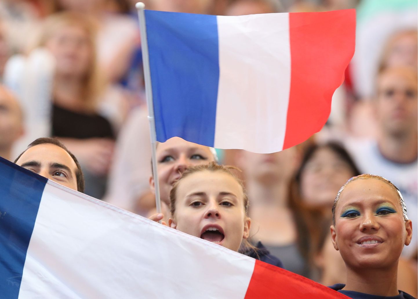 Prantsuse lipp. Pilt on illustratiivne