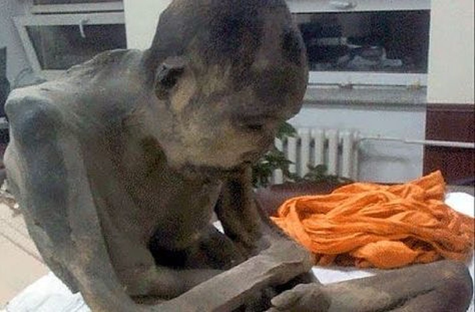 Mediteerimisasendis buda munga muumia