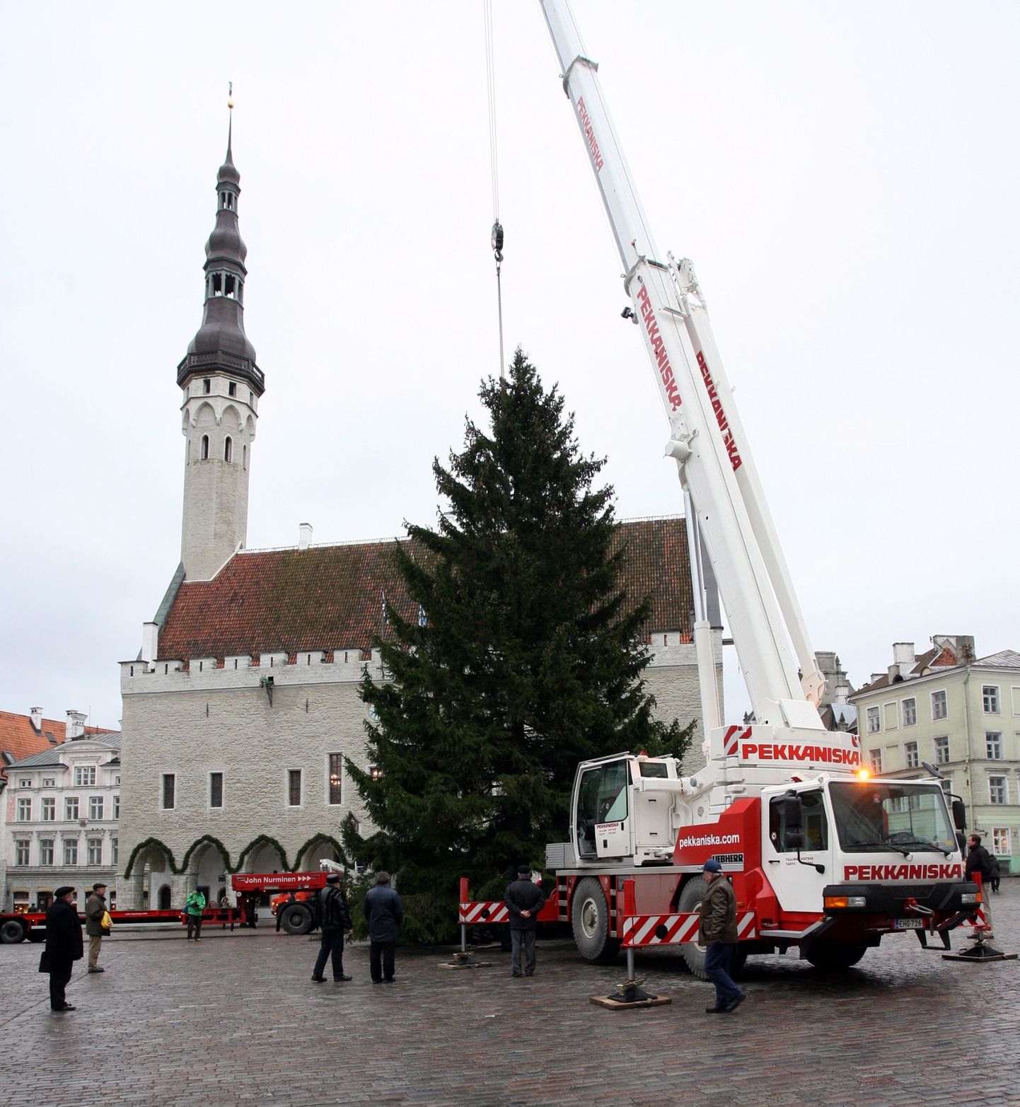 Tallinna jõulukuusk on enamasti kallim kui teiste linnade omad. Möödunud aastal toodi kuusk Raekoja platsi Kadrinast.