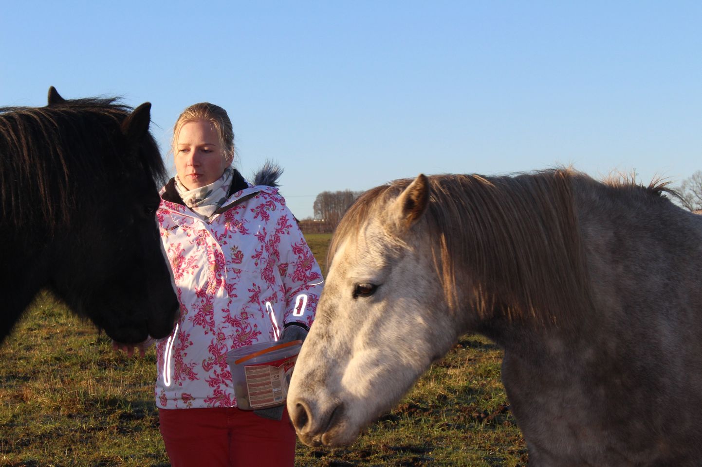 Reelika Voitki lapsepõlveunistus on nüüdseks täitunud ja tema hoole all on juba pikemat aega nii hobuseid kui ka ponisid.
