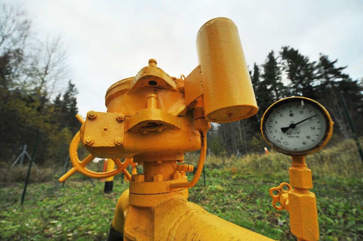 Riigikontrolli väitel hindab seaduseelnõu valesti gaasi põhivõrgu müügi mõju gaasi hinnale.