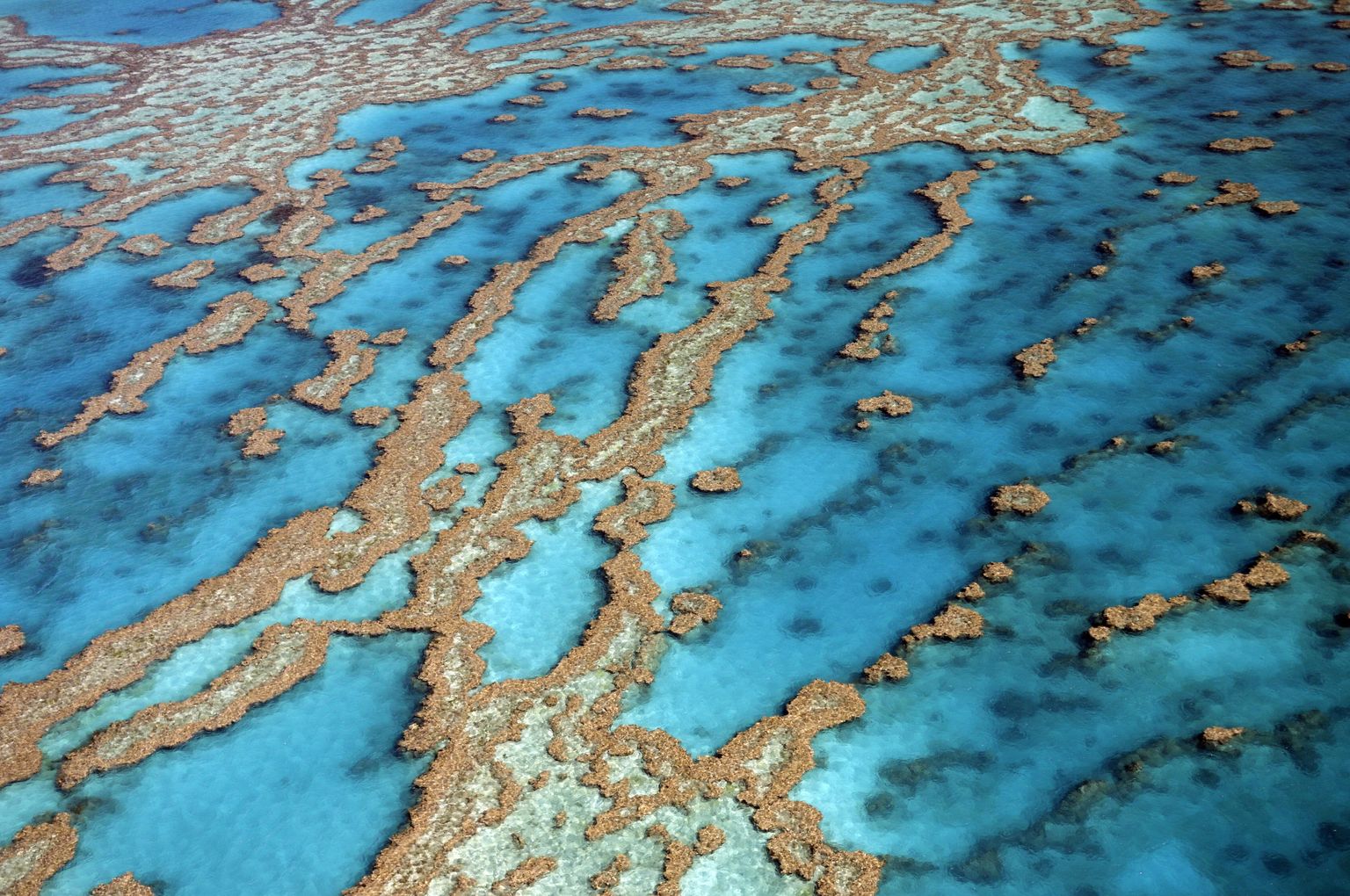 Austraalia Suur Vallrahu.
