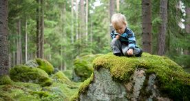 Inglismaal keelati lastel puude otsas ronimine