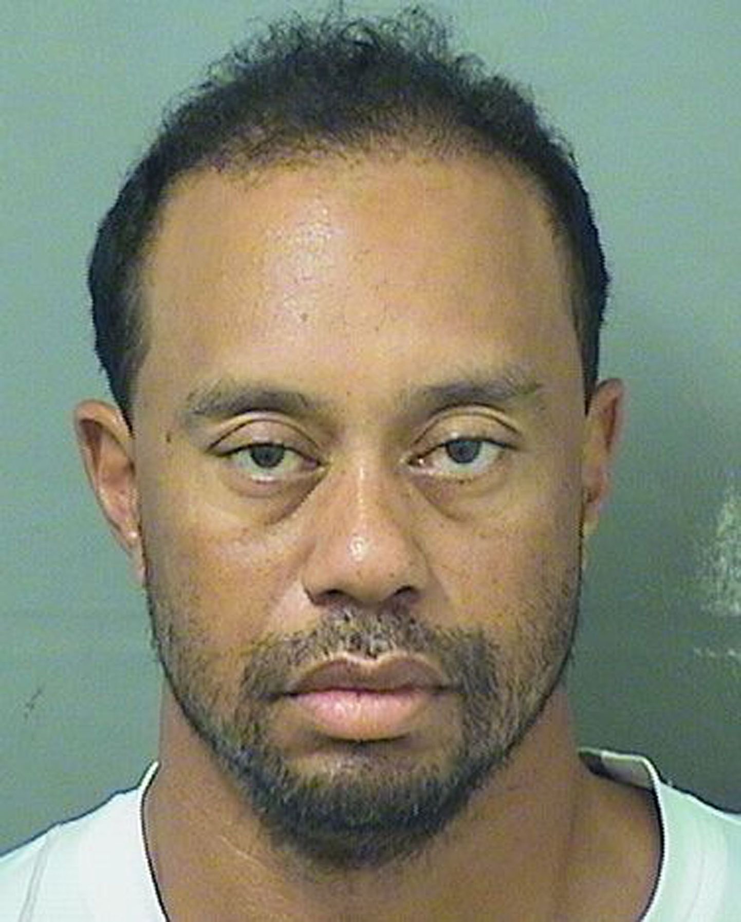 Tiger Woods politseifotol