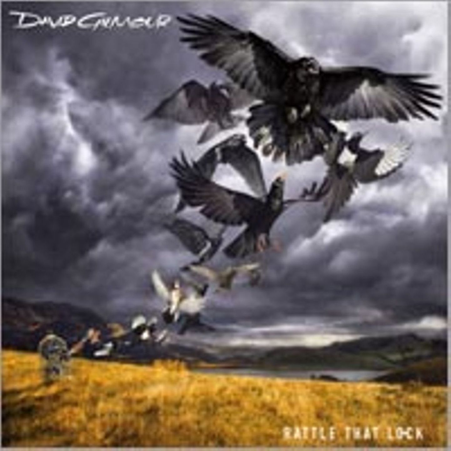 Dave Gilmour- Rattle That Lock