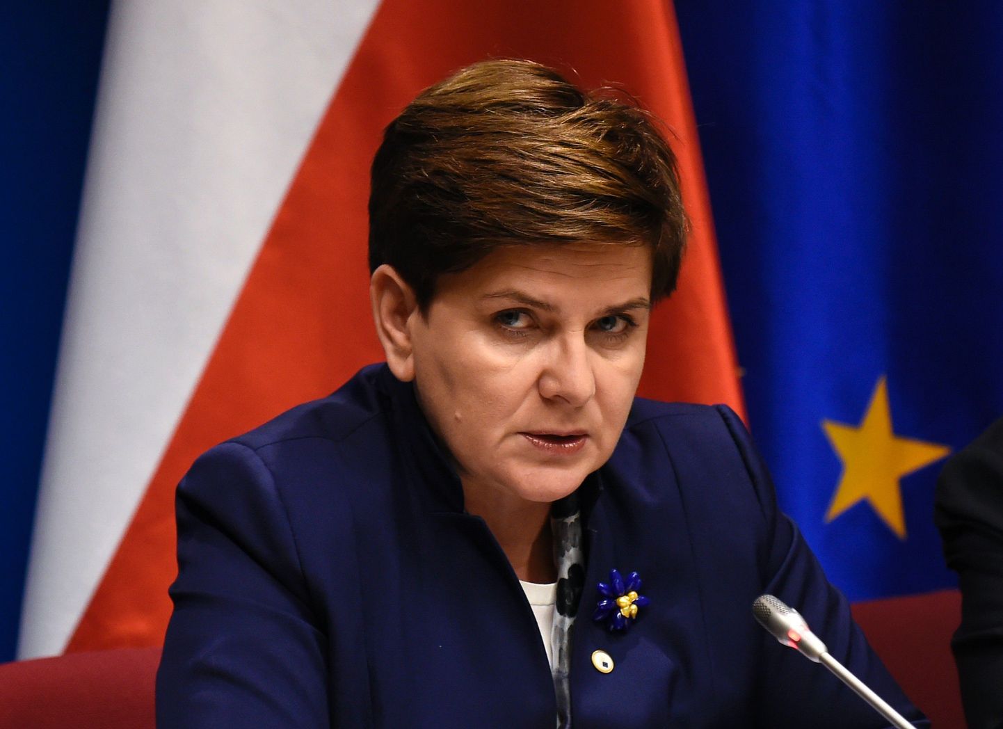 По словам премьера Польши Беаты Шидло, давление извне ее не испугает.