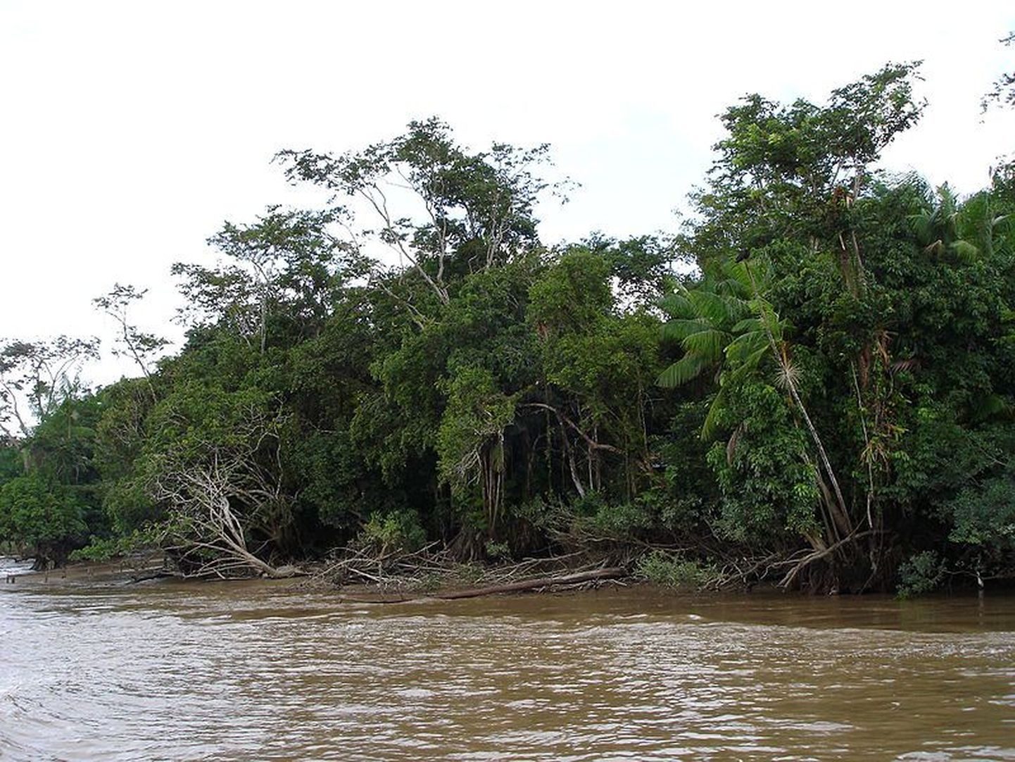 Amazonase jõgi.