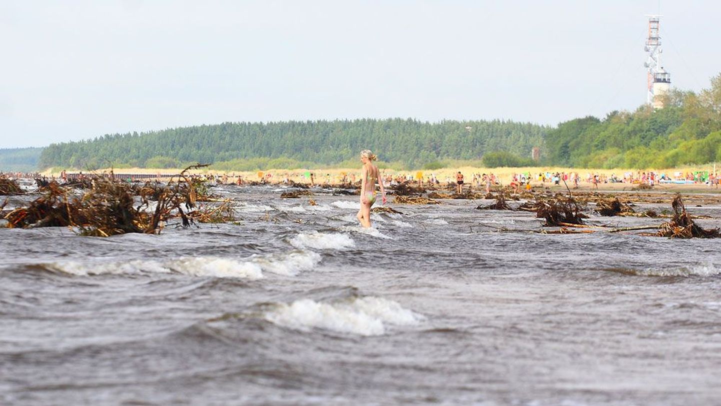 Narva-Jõesuu rannas tekkis 2010. aasta suvel pärast ujuvsaare tammist allalaskmist ulatuslik reostus, riik eraldas hiljem ranna puhastamise kulude katteks üle poole miljoni krooni.