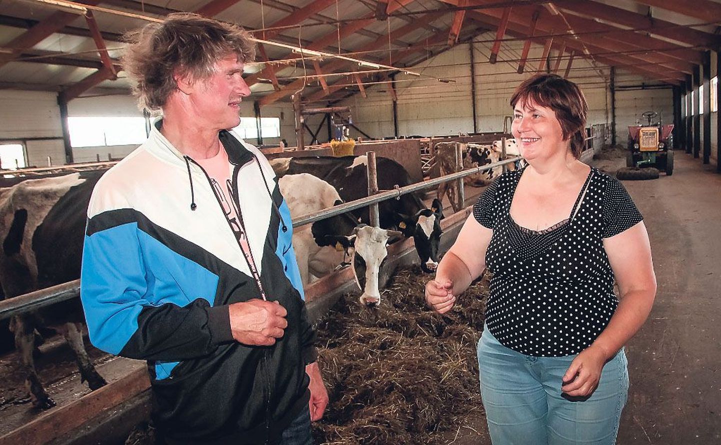 Pärnumaa mainekaima, Jakobsoni konkursi laureaat, populaarseim põllumees 2013 Peeter Aassalu ja tema naine Sirje Aassalu peavad ligi 100pealist lüpsikarja.