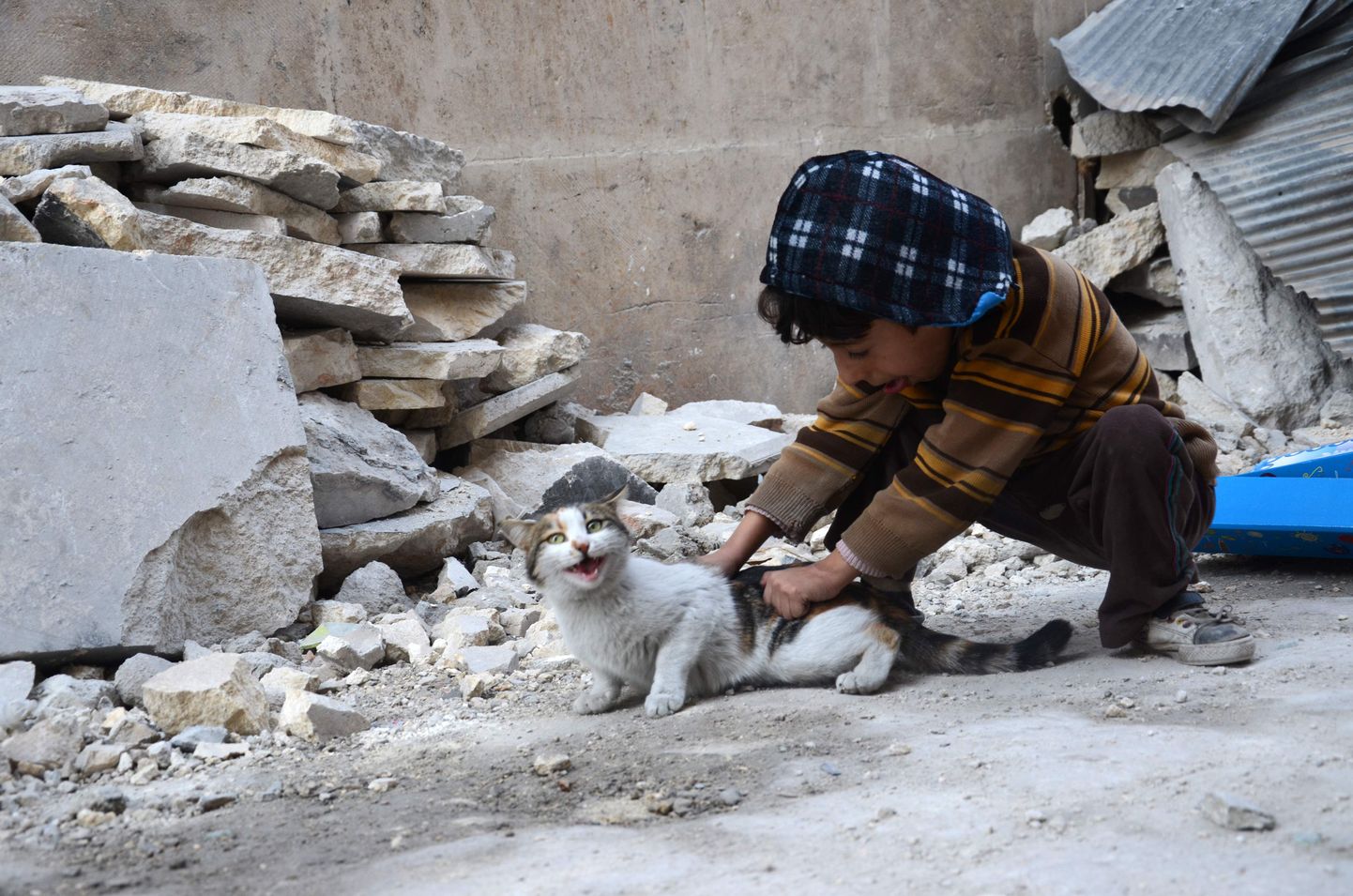 Põhja-Süürias rängalt kannatada saanud al-Babi linna poiss kassiga.