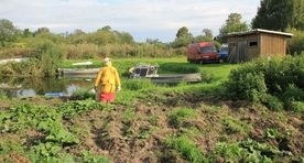 Fotod: Piirissaart on tabanud metssea-nuhtlus