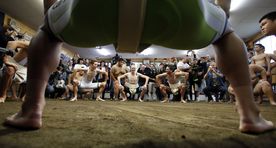 Eesti sumonoortele EMilt 13 medalit