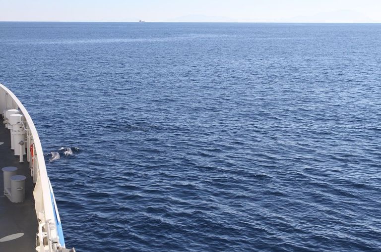 Delfiinid tervitasid Vahemeres Soome patrull-laeva