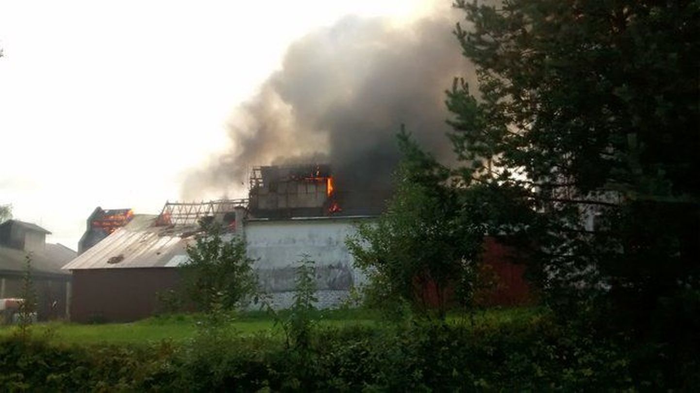 Пожар на заводе по производству рапсового масла в Антсла.