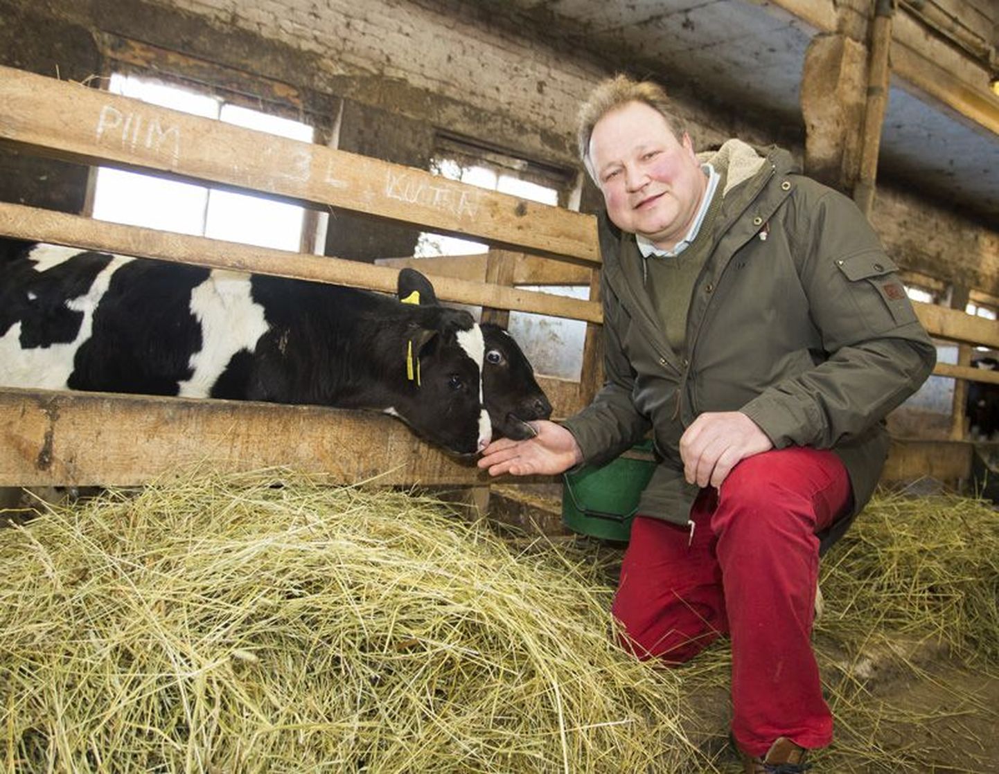 Pascal Smits usub, et mõisa piimakarja piimast valmivatest juustudest vallutab eestlaste südamed just köömnejuust.