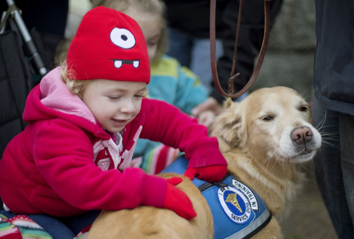 Newtowni laste kriisi aitavad leevendada koerad